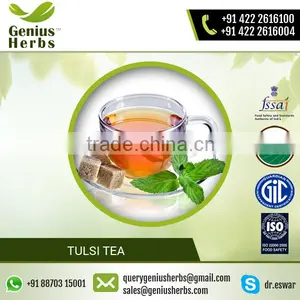 Fine Quality Tulsi Tea for Healthy Body From Top Supplier thumbnail-2