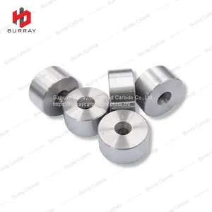 Custom TC Wire Drawing Die Hole Size 3.0-6.0mm for Making Steel Wire thumbnail-1