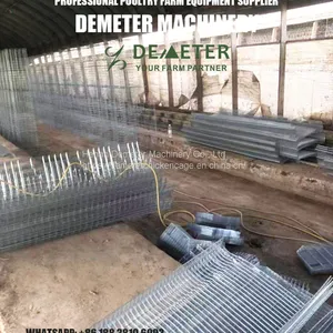 Chicken Cage Africa Market Poultry Farm Project thumbnail-4