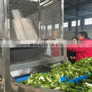 SUS 304 Vegetable Salad Commercial Vegetable Dehydrating Processing Line Good Quality thumbnail-5