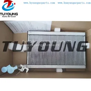 TUYOUNG China Factory Supply Car ac Evaporators VOLVO FL Renault 303*200*38mm thumbnail-1