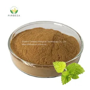 Lemon Balm Leaf Melissa Officinalis Extract 5% Rosmarinic Acid Powder thumbnail-1