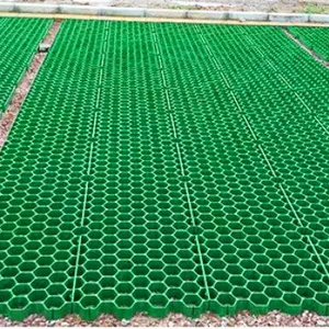 5cm7cm Flower Mouth Flat Mouth Grass Green Parking Lot Fire Lane Roof Garden Grass Planting Grid thumbnail-4