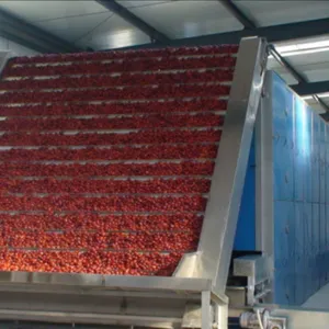 Automatic Belt Drying Processing Line thumbnail-5