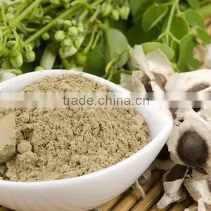 Super Organic Moringa Seed Powder Bulk Producers thumbnail-2