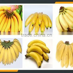 Leader Stainless Steel Green Banana Peeling Machine Whatsapp:+8618336073732 Supplier's Choice thumbnail-6