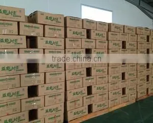 Shantou Yuanda Foods Co., Ltd. company overview - view 3 thumbnail