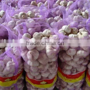 White Garlic thumbnail-1