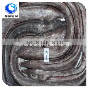 Fresh Frozen Fish Frozen Eel Fish thumbnail-6