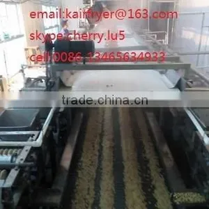 Auto Matic Fired Peanut Machine /roasted and Salted Peanut Machinary thumbnail-4
