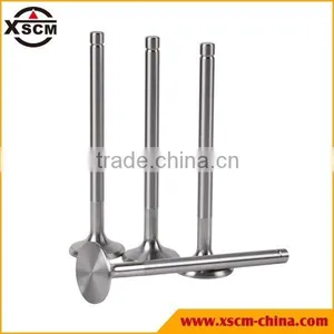 Custom Intake Exhaust Valves R010002 for YTO thumbnail-1