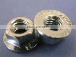 Hex t Nut thumbnail-1