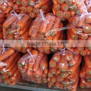 Carrot Price Carrot Farm Carrot Exporter 2016 Best Quality thumbnail-4