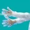 pe Gloves/food Handing pe Gloves thumbnail-1
