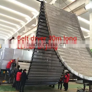 Apple Chips/apple Flakes Mesh Belt Dryer thumbnail-1