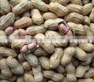 Chinese Peanut in Shell thumbnail-1