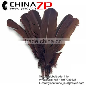 ZPDECOR Factory Wholesale in Stock Dyed Brown Solid Color Turkey Feathers for Girls thumbnail-1
