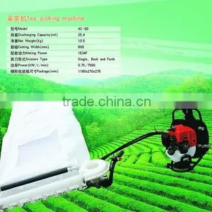Gasoline Tea Plucker thumbnail-1