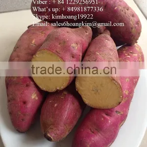 Fresh Sweet Potatoes/ Sweet Potato Export Good Prices thumbnail-1