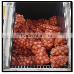 Frozen Onion thumbnail-1