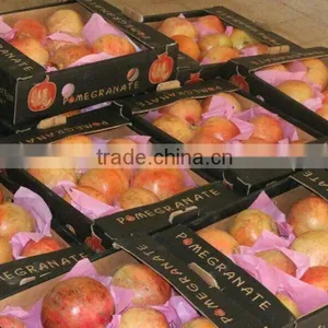 Pomegranate With Differsnt Sizes thumbnail-5
