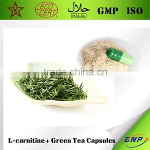 BNP Supple High Quality L-carnitine + Green Tea Capsules From Qingdao BNP - Slimming Capsule thumbnail-1