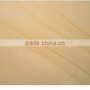 Outdoor and Indoor Standard Sandstone Pavers thumbnail-5
