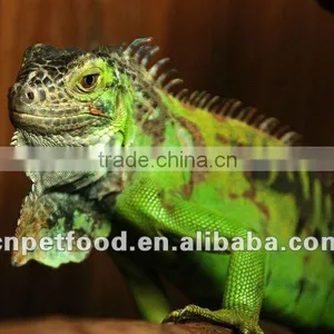 Dried Tenebrio Molitor Reptile Feeding thumbnail-4