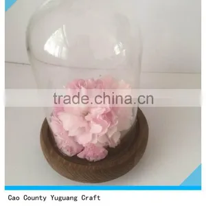 Antique Wooden View Flower Plate With Glass Bell Jars thumbnail-2