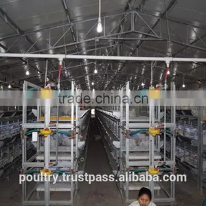 Poultry Cages thumbnail-6