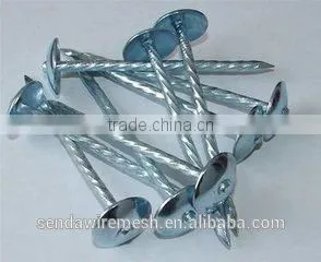 2" Umbrella Roofing Nails thumbnail-1