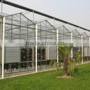 10mm Cheap Polycarbonate Agricultural Greenhouse thumbnail-4