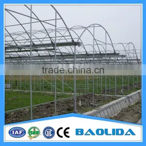 Commercial Greenhouse for Agriculture thumbnail-4