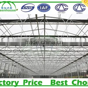 Used Galvanized Steel Pipe Frame Tunnel Greenhouse for Sale thumbnail-4