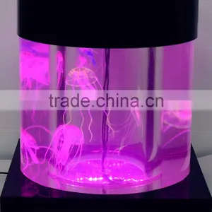 New Products Traditional Mini Aquariums for Fish Tank, Fish Home Aquarium thumbnail-1