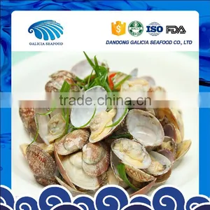Frozen Boiled Baby Clam With Favorable Pirce thumbnail-1