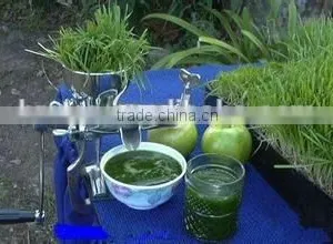 Home Use Hot Sale Healthy Wheat Grass Juicer thumbnail-1