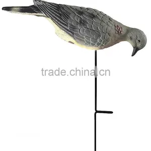 Feeding Mourning Dove Dedoys With Stake thumbnail-4
