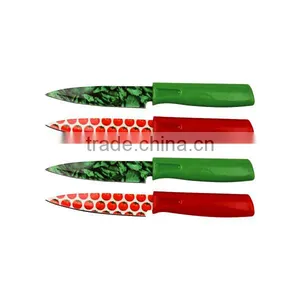 Excellent Quality Eco-friendly Fruit Paring Knife thumbnail-4