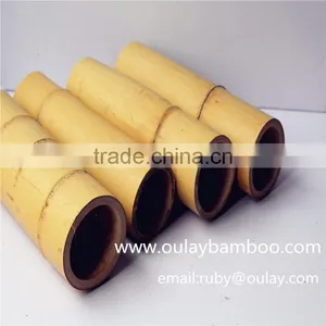 50cm Moso Bamboo Canes thumbnail-1