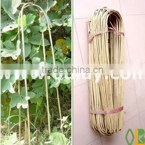 U Shape Bamboo Poles thumbnail-1