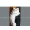 Leather Fur Craft, Crafts Gifts, Artificial Crafts, Antique Imitation Crafts, Antiques & Collectibles, Holiday Gift & Decoration, Other Marketing Gifts and Premiums thumbnail-1