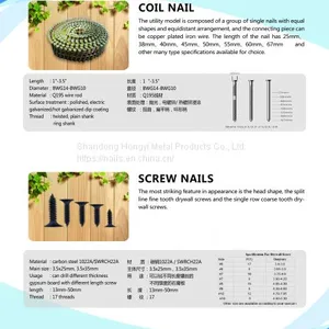 Coil Nail,steel Nail, Iron Nail thumbnail-2