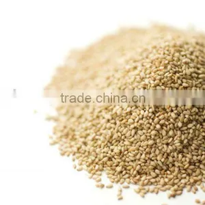 PREMIUM INDIAN SESAME SEED thumbnail-5