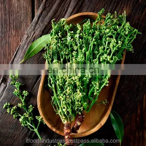 Thailand Vegetables Frozen Sadao (Azadirachta Indica) thumbnail-1