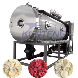 Automatic Industrial Dairy Product Whey Powder Freeze-drying Machine Dried Fruit Making Machine EPC thumbnail-1