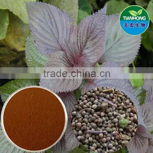 Purple Perilla Seed Leaf Extract of Good Quality thumbnail-1