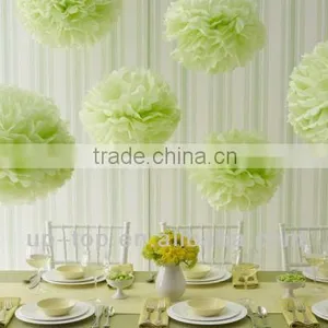 Tissue Paper Pom Pom Flowers thumbnail-1