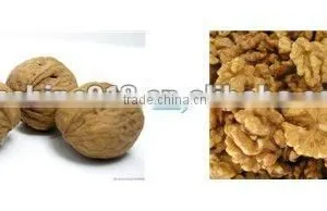300kg/h Walnut Crushing Machine thumbnail-1