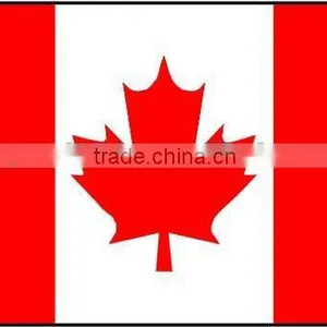 Qualified Interpretation Service/Translation Service in China thumbnail-1